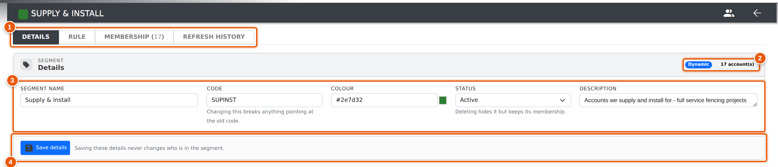 The Details tab of a dynamic segment, with all four tabs across the top.