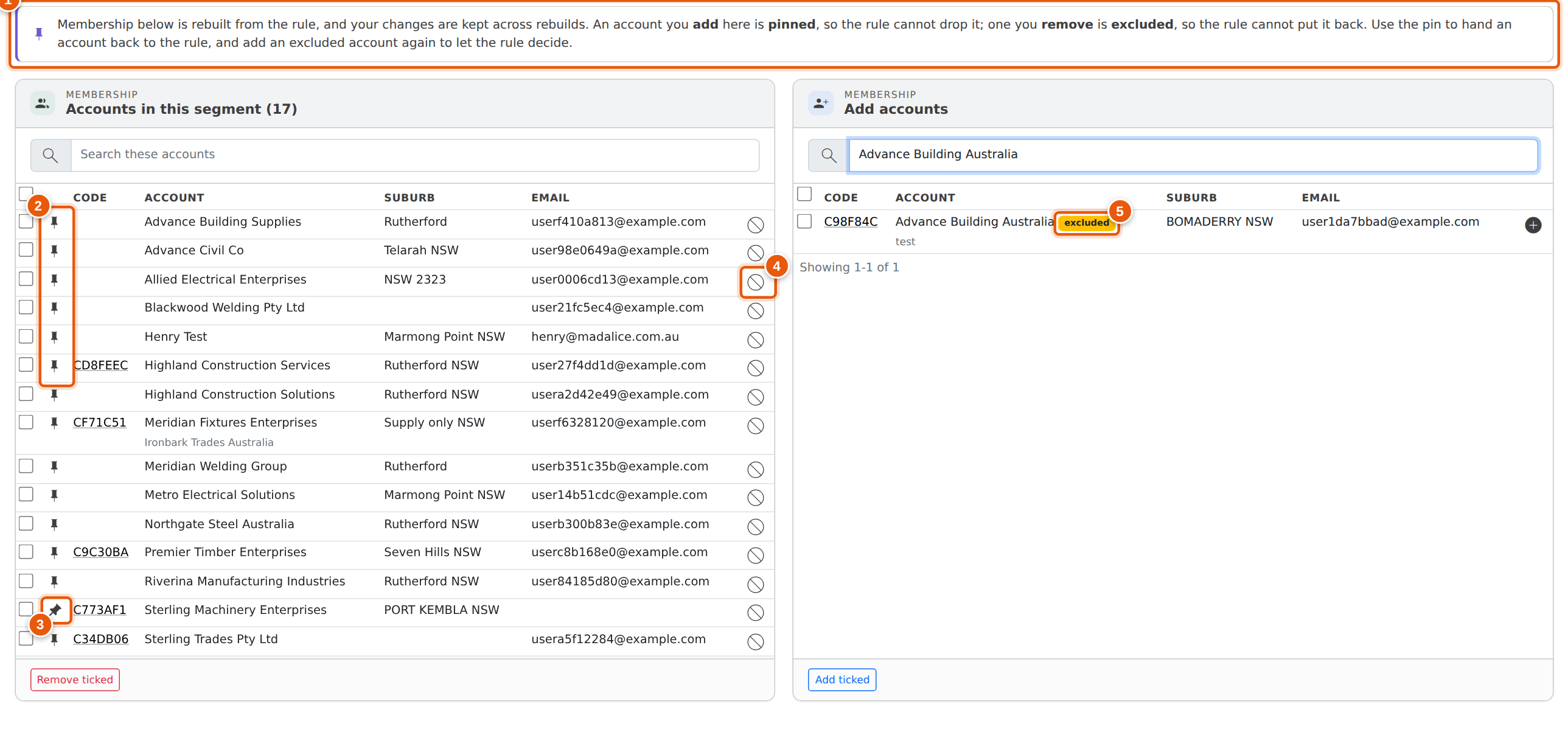 A dynamic segment: the pin column on the member list, a pinned account, and an excluded account offered back on the right.
